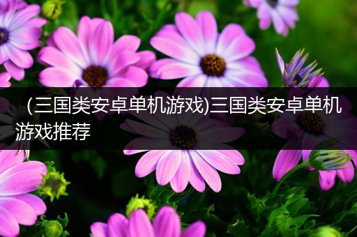 （三国类安卓单机游戏)三国类安卓单机游戏推荐