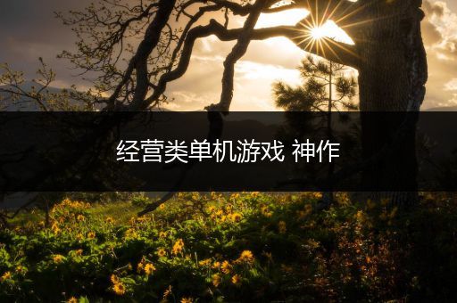 经营类单机游戏 神作