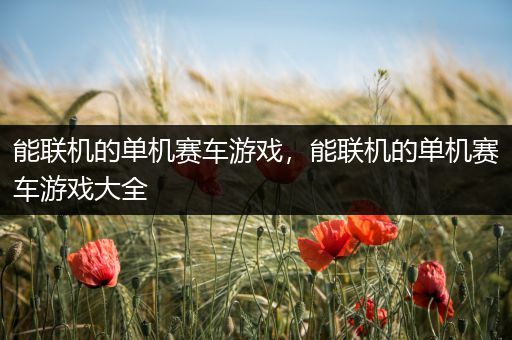 能联机的单机赛车游戏，能联机的单机赛车游戏大全