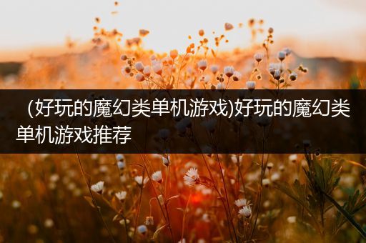 （好玩的魔幻类单机游戏)好玩的魔幻类单机游戏推荐