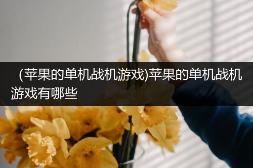 （苹果的单机战机游戏)苹果的单机战机游戏有哪些