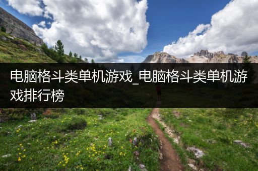 电脑格斗类单机游戏_电脑格斗类单机游戏排行榜
