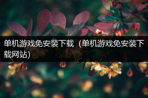 单机游戏免安装下载（单机游戏免安装下载网站）