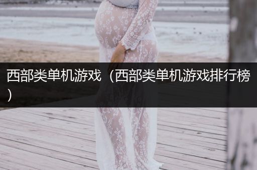 西部类单机游戏（西部类单机游戏排行榜）