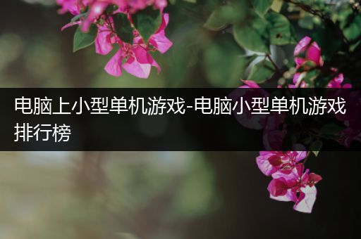 电脑上小型单机游戏-电脑小型单机游戏排行榜