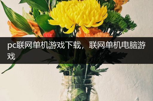 pc联网单机游戏下载，联网单机电脑游戏