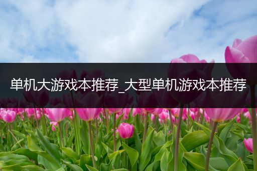 单机大游戏本推荐_大型单机游戏本推荐