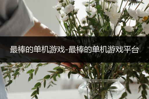 最棒的单机游戏-最棒的单机游戏平台