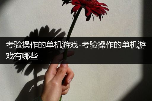 考验操作的单机游戏-考验操作的单机游戏有哪些