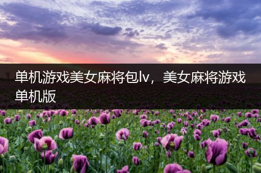 单机游戏美女麻将包lv，美女麻将游戏单机版