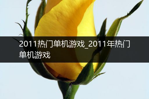 2011热门单机游戏_2011年热门单机游戏