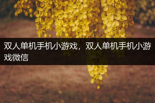 双人单机手机小游戏，双人单机手机小游戏微信