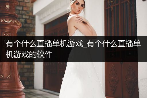 有个什么直播单机游戏_有个什么直播单机游戏的软件