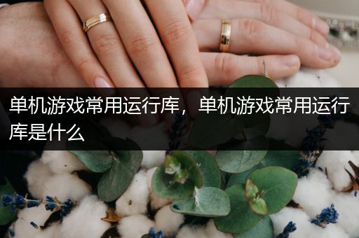 单机游戏常用运行库，单机游戏常用运行库是什么