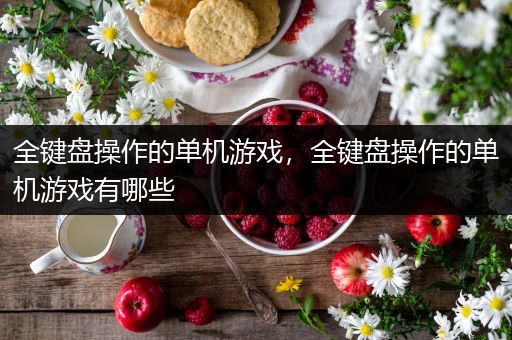 全键盘操作的单机游戏，全键盘操作的单机游戏有哪些