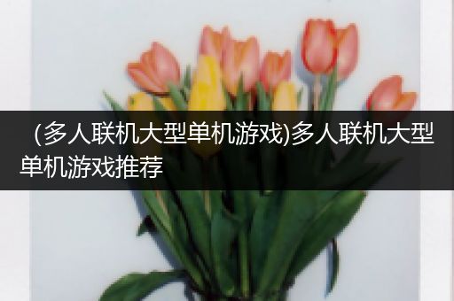 （多人联机大型单机游戏)多人联机大型单机游戏推荐