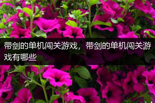 带剑的单机闯关游戏，带剑的单机闯关游戏有哪些