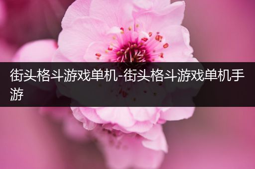 街头格斗游戏单机-街头格斗游戏单机手游