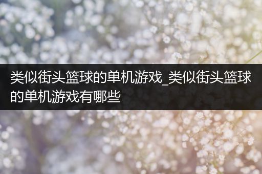 类似街头篮球的单机游戏_类似街头篮球的单机游戏有哪些