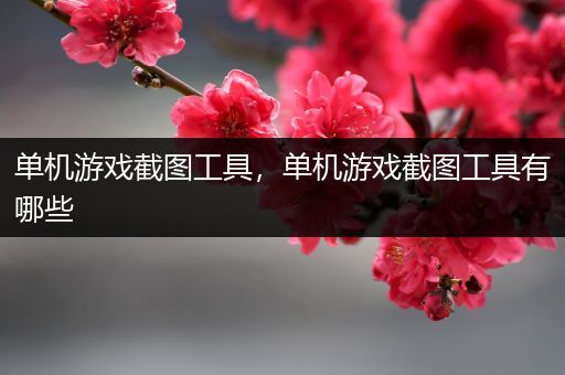 单机游戏截图工具，单机游戏截图工具有哪些
