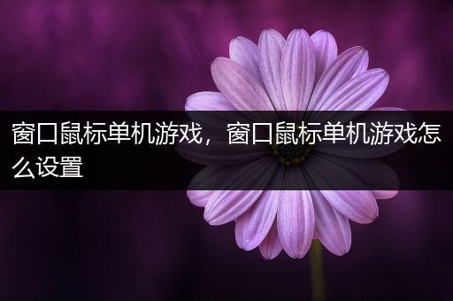 窗口鼠标单机游戏，窗口鼠标单机游戏怎么设置