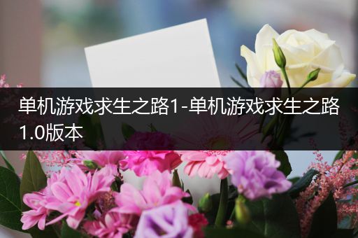 单机游戏求生之路1-单机游戏求生之路1.0版本