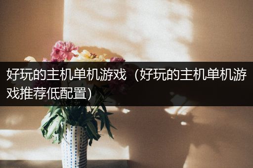 好玩的主机单机游戏（好玩的主机单机游戏推荐低配置）