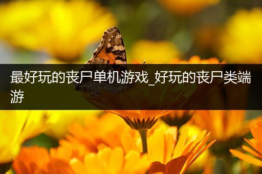 最好玩的丧尸单机游戏_好玩的丧尸类端游