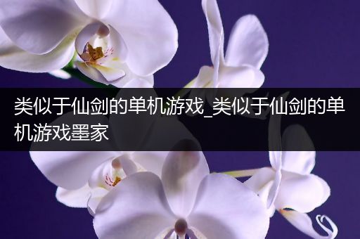 类似于仙剑的单机游戏_类似于仙剑的单机游戏墨家