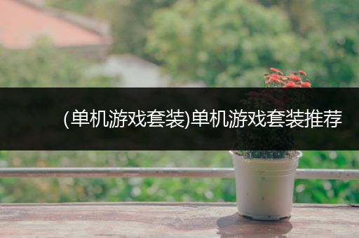 （单机游戏套装)单机游戏套装推荐