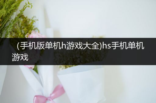 （手机版单机h游戏大全)hs手机单机游戏