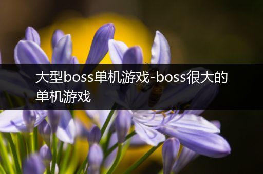 大型boss单机游戏-boss很大的单机游戏