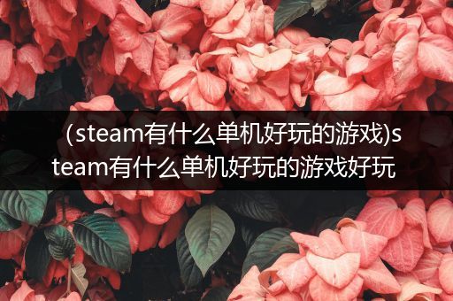 （steam有什么单机好玩的游戏)steam有什么单机好玩的游戏好玩