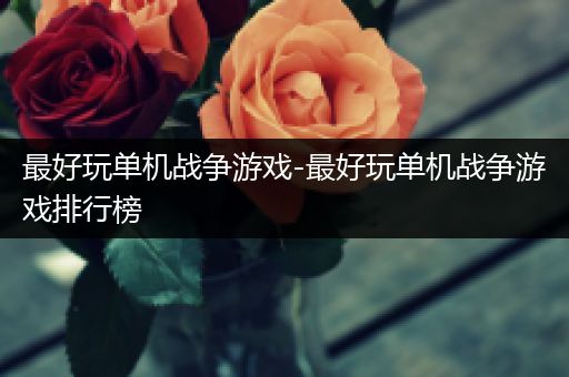 最好玩单机战争游戏-最好玩单机战争游戏排行榜