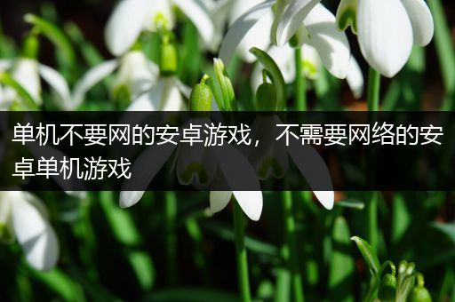 单机不要网的安卓游戏，不需要网络的安卓单机游戏