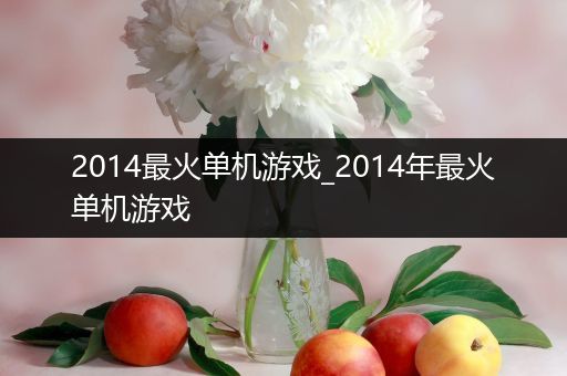 2014最火单机游戏_2014年最火单机游戏