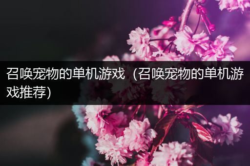 召唤宠物的单机游戏（召唤宠物的单机游戏推荐）