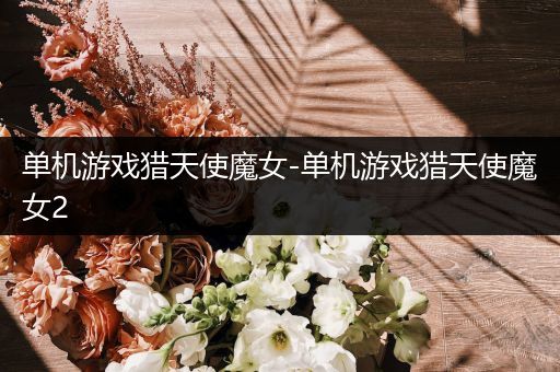 单机游戏猎天使魔女-单机游戏猎天使魔女2