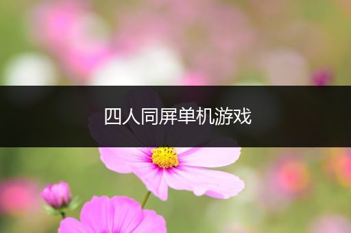 四人同屏单机游戏