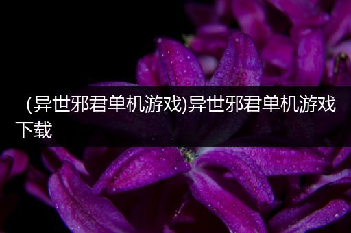 （异世邪君单机游戏)异世邪君单机游戏下载