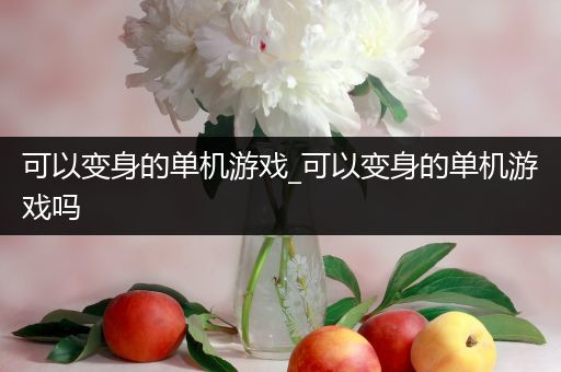 可以变身的单机游戏_可以变身的单机游戏吗