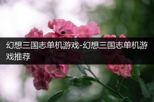 幻想三国志单机游戏-幻想三国志单机游戏推荐