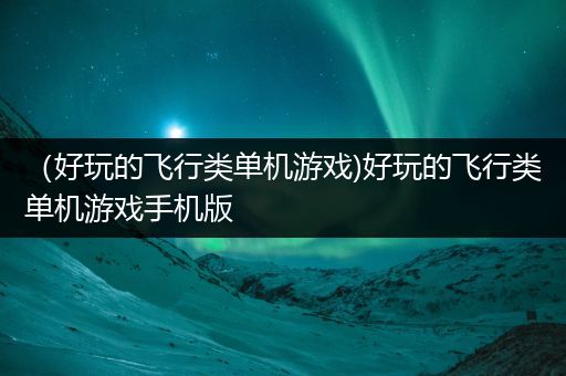 （好玩的飞行类单机游戏)好玩的飞行类单机游戏手机版