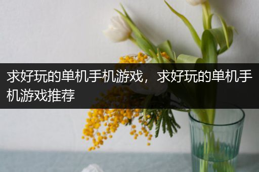 求好玩的单机手机游戏，求好玩的单机手机游戏推荐