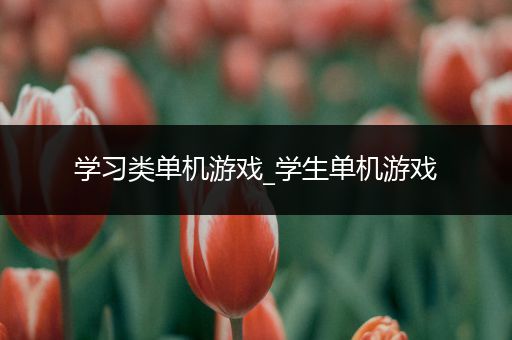 学习类单机游戏_学生单机游戏