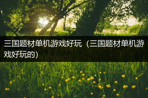 三国题材单机游戏好玩（三国题材单机游戏好玩的）