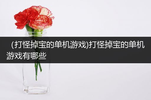 （打怪掉宝的单机游戏)打怪掉宝的单机游戏有哪些