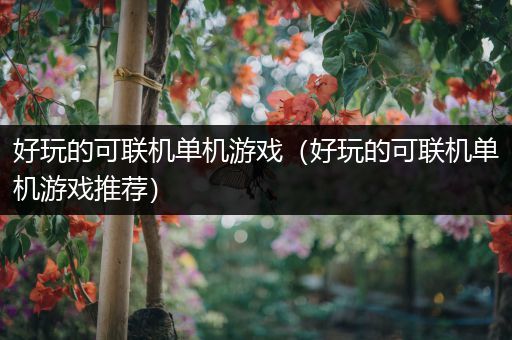 好玩的可联机单机游戏（好玩的可联机单机游戏推荐）