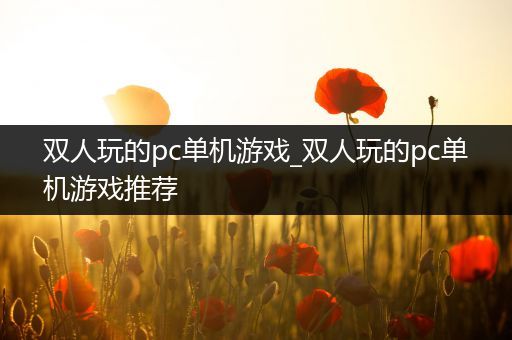 双人玩的pc单机游戏_双人玩的pc单机游戏推荐