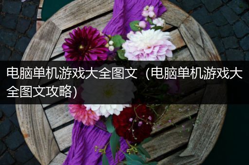 电脑单机游戏大全图文（电脑单机游戏大全图文攻略）